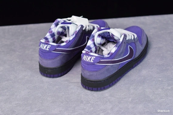 BV1310-555 Concepts Dunk Low SB Lobster Purple Nike 1008